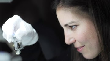 PDA An Introduction to Visual Inspection Training Course