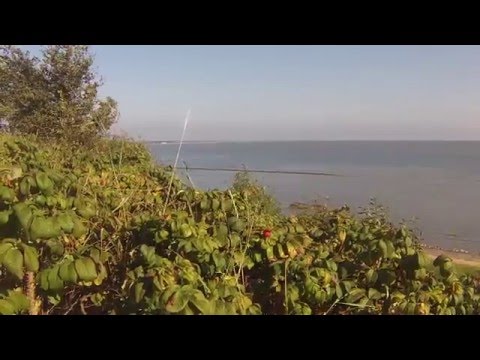 KEITUM 4 -