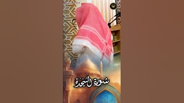 أجمل التلاوات بصوت القارئ عبدالرحمن أبا الخيل فجريات 1447 هـ