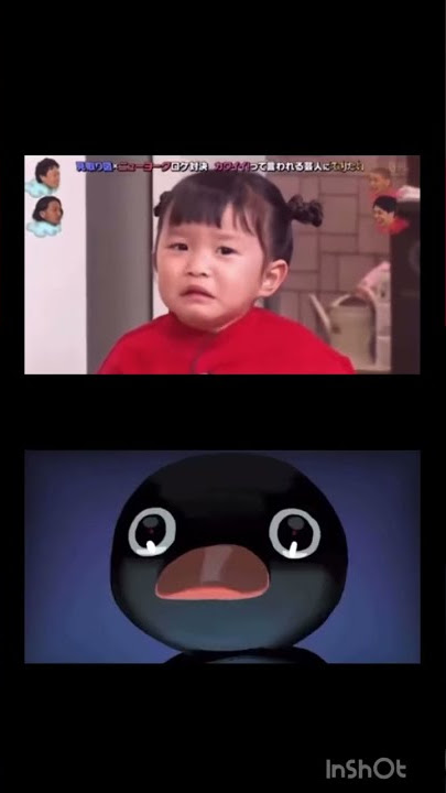 noot noot#nonoka #nootnoot #pingu #