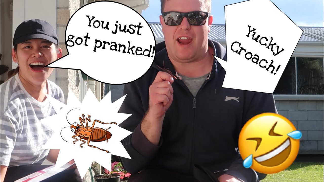 COCKROACH PRANK ON HUSBAND | VLOG 28 | LIFE IN NZ - YouTube