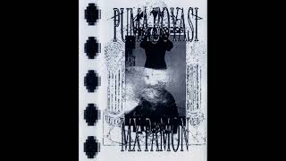 MX Pamon - Puma Boyasi [VD001]