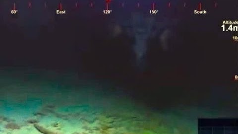 Somewhere in the Pacific Ocean something scary was caught by an underwater drone
