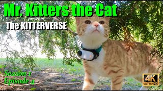Mr. Kitters presents The Kitterverse. Season 1 Episode 4 📺🍿📣🐈