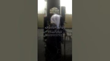 سورة الأحزاب ﴿إِنَّ اللَّهَ وَمَلَائِكَتَهُ يُصَلُّونَ عَلَى النَّبِيِّ ۚ...﴾#quran | #قران