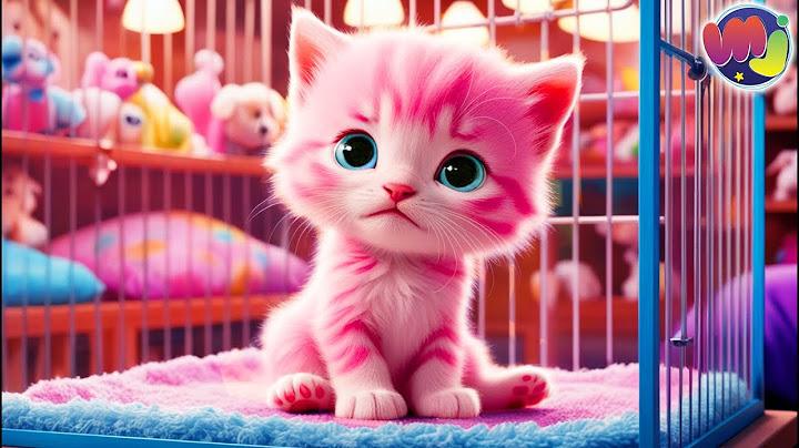 💖 PINK KITTEN NO ONE WANTS HIM ❌ 🐱 ABANDONED KITTEN LOOKING FOR A FAMILY! 💔