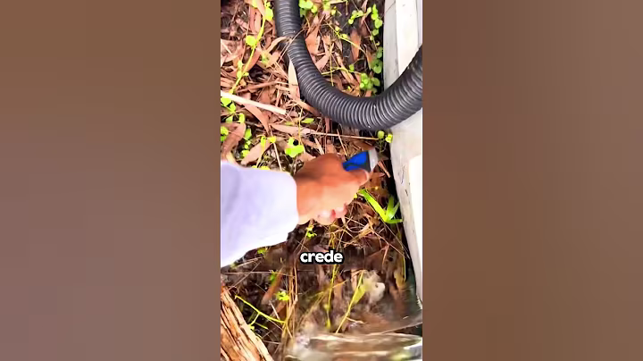 Non è proprio la migliore idea…😳