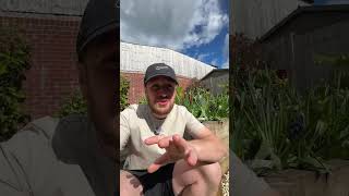 Haters Gonna Hate! 🤣 #lawn #lawncare #gardening