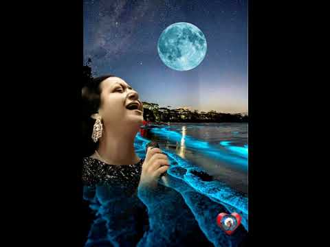 يا حبيبي يا عبير الشوق يا حبيبي ام كلتوم مقطع