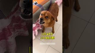 뭘 숨겼길래...?