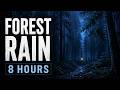 Forest Rain At Night 8 Hours