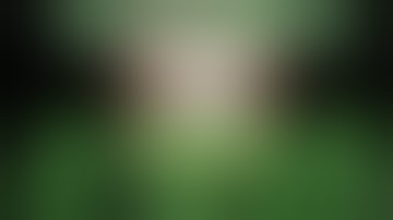 How To Get Free iAP Cracker Using Cydia iOS 7+