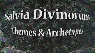 Salvia Divinorum - Themes & Archetypes