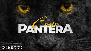 Richie Valdes - Como Pantera (Video Lyric) | Salsa Romántica
