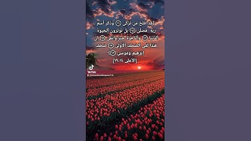 سورة الأعلى الأية 14-19 #prayer #القرآن_الكريم #fyp