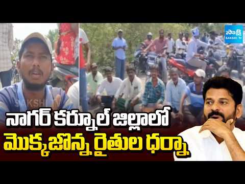 Maize Farmers Protest Against CM Revanth Reddy Govt Over Fails to Procure Crop | Sakshi TV - SAKSHITV