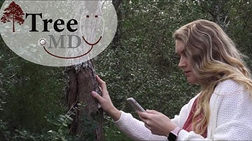 TreeMD - Get to the Root of your Tree