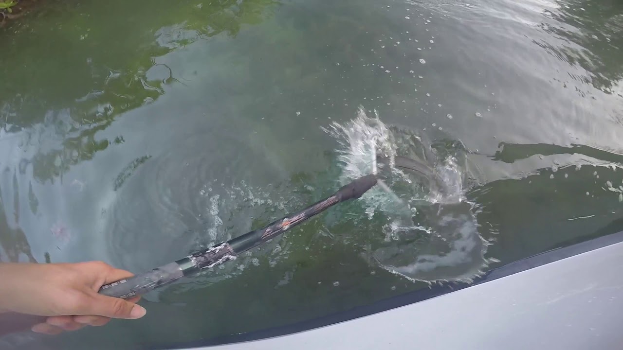 Backcountry Fishing Key Largo, FL EP.3 YouTube