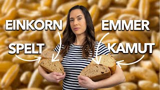 Battle of the Ancient Grains: Spelt vs Einkorn vs Emmer vs Kamut wheat screenshot 5