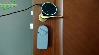 Voice Control with Google Assistant and Alexa for GIMDOW Smart Lock screenshot 3