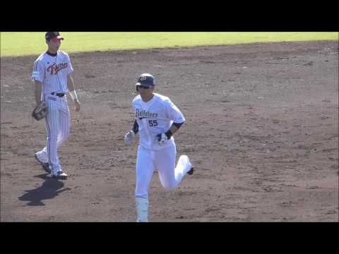 【プロ野球】2016.11.12   オリックス　秋季キャンプ　ＬＧとの練習試合　55 T-岡田　『完璧なホームラン』　観客が沸く！