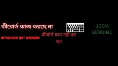 keyboard not working windows 7/8/10/11