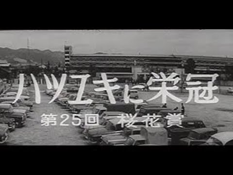 「ハツユキに栄冠 -第25回桜花賞-」No.586_2