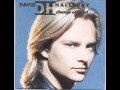 David Hallyday - Change Of Heart
