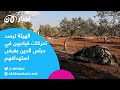 الهيئة ترصد تحركات قياديين في حراس الدين بغرض استهدافهم الهيئة ترصد تحركات قياديين في حراس الدين بغرض استهدافهم