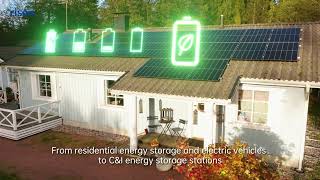 Risen BMS Battery's Smart Guardian