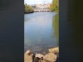 Aging Dams on the Chattahoochee | History, Hydropower, and the Future of River Management