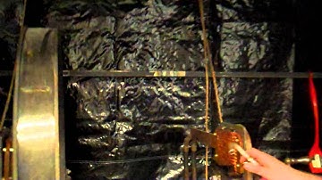 MT Particle Concentration