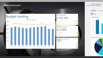 Microsoft Dynamics Business Analyzer