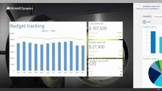 Microsoft Dynamics Business Analyzer