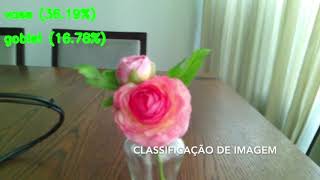 Object detection smart glasses