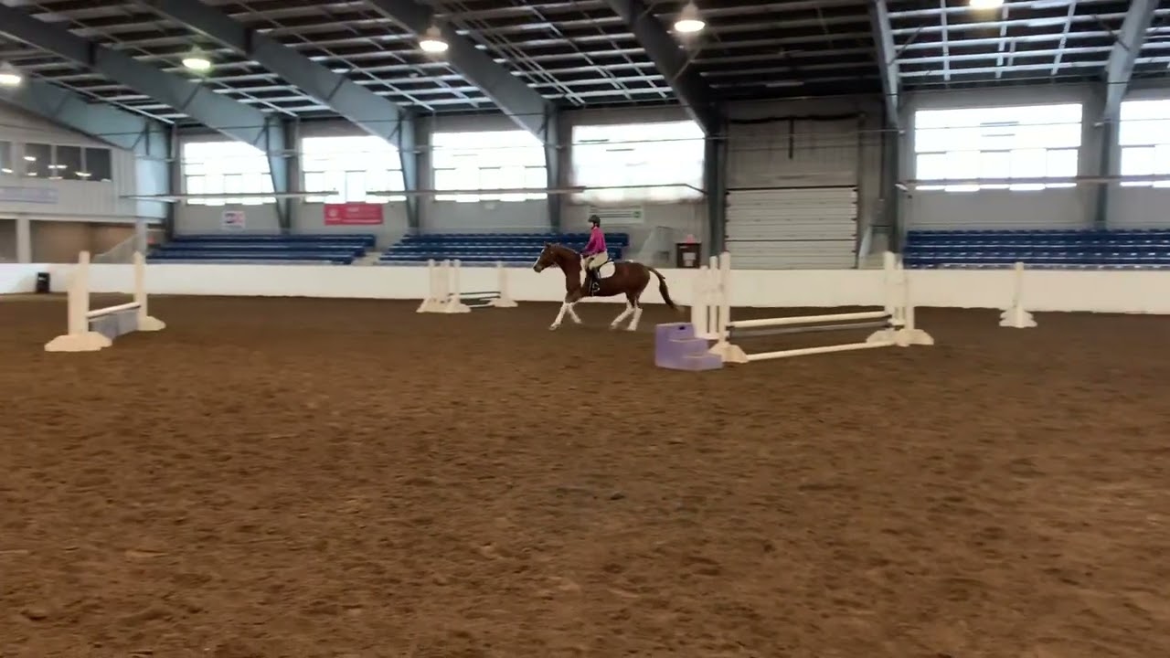Equestrian Canada English Level 4 Jump Test January 21 2023, (Pete)