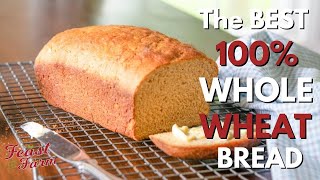 The Best 100% Whole Wheat Bread
