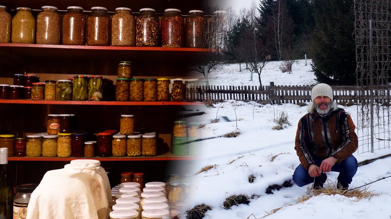 Potravinová soběstačnost - Zimní zásoby na záhonku a ve sklepě v permakulturní zahradě.