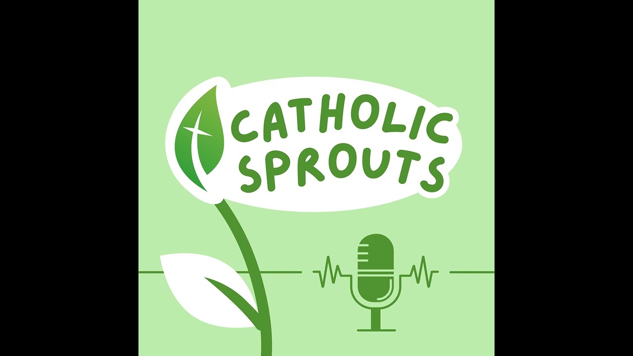 CS 1650: C is for Cross: Monday