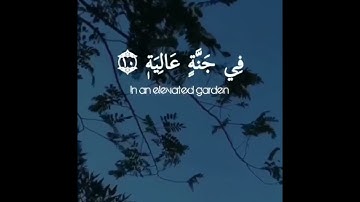وجوه يومئذ ناعمة القارئ أحمد خضر سورة الغاشية