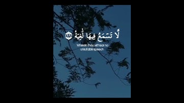 وجوه يومئذ ناعمة القارئ أحمد خضر سورة الغاشية