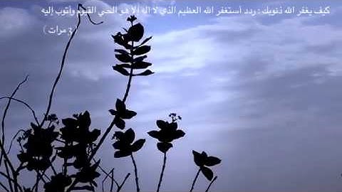 القارئ اليمني محمد صالح سورة النازعات