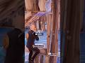 #fortnite #chapter4 #fortnitetips #fortnitemultiplayer #fortniteoffline #gaming #fortnitebr