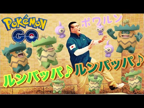 【ポケモンGO】これぞ！リアル‼色違いハスボー(タスク)＆色違いポワルンを手に入れろっ!!