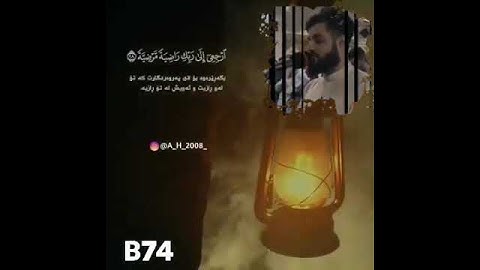 الشيخ رعد محمد الكردي ( ما تيسر من سورة الفجر )