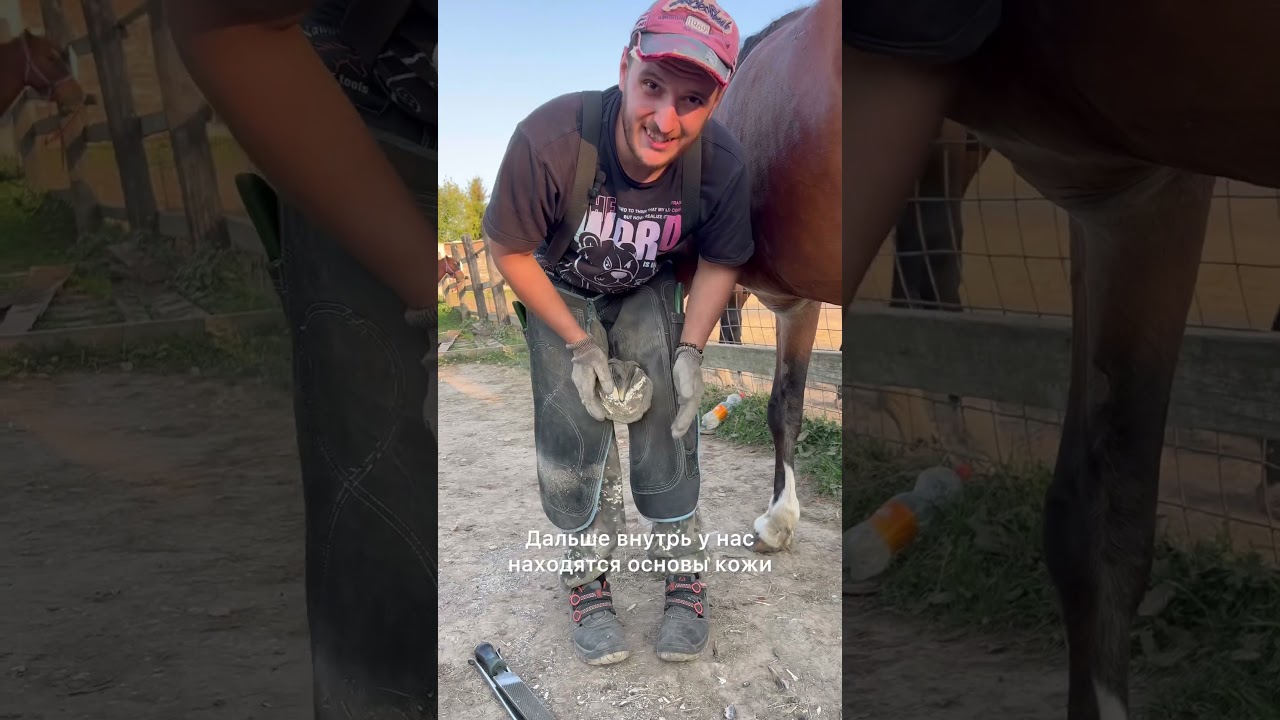 Простое и изящное решение для одной цели - выживание 