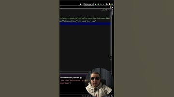 How to set up a Selenium Python environment for Chrome and Firefox