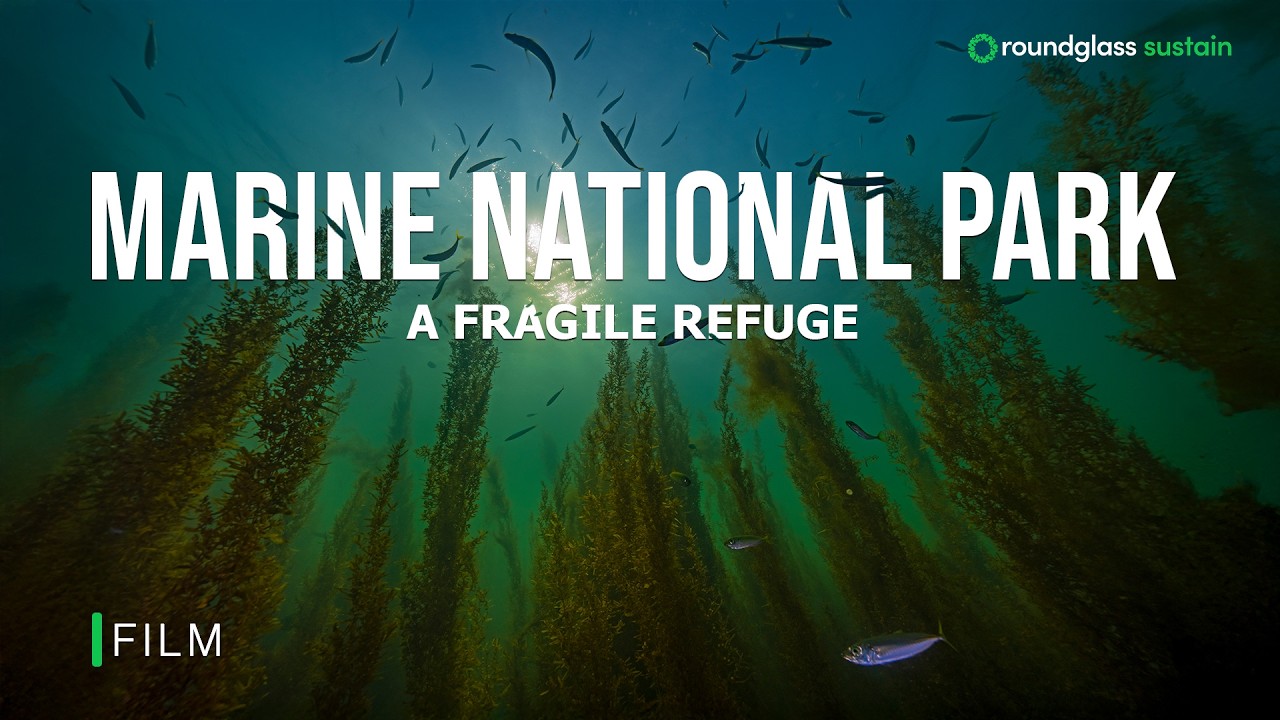 Marine National Park: A Fragile Refuge |Gujarat's Climate Resilient Coral Reefs|@RoundglassSustain