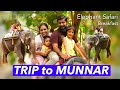 Munnar trip       wide vlogs  daily vlog