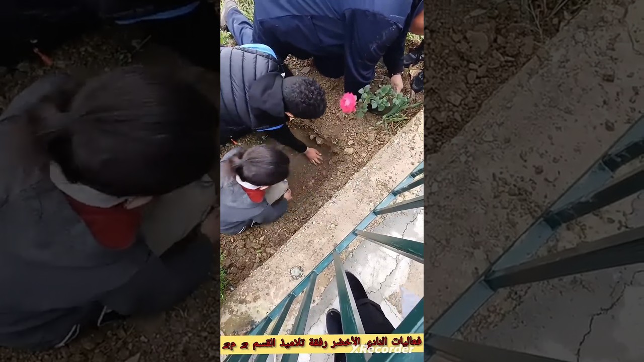 فعاليات النادي الأخضر رفقة تلاميذي